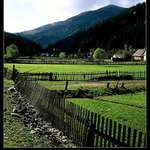 Ve stínu velikánů