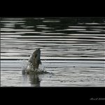 Prapodivný svět tam nahoře.