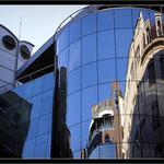 sůva na hnízdě v lůně velkoměsta