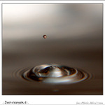 .: Život v kanystru II :.