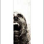 V moci živlu a posedlosti