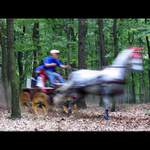 Přízrak mezi stromy