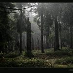 <b>..::Bloudění v Krkonoších::..</b>