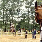 Závod je jeden velký kolotoč