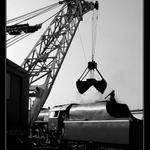 dozbrojovanie albatrosa