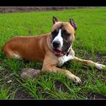 CEZAR