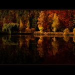 Colours