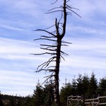 \"Poslední\" jizerský mohykán