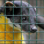 Na té svobodě je ale krásně.