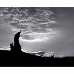 Zátiší, architektura, krajina?