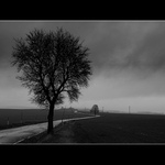 <strong>:. ordinary world .:</strong>