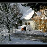 na samotě u lesa...