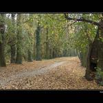 Nekonečná jeseň...