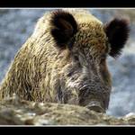 dej si na mě pozor !!!