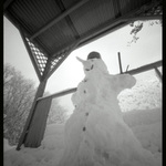 ... první letošní...