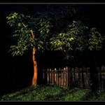 <B>Beskydský sen</B><br><I>remake</I><B>