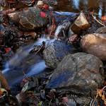 Teče voda teče.... po podzimních kamenech..