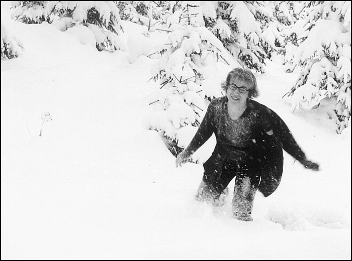 <b>vivet@snow-ecstasy</b>