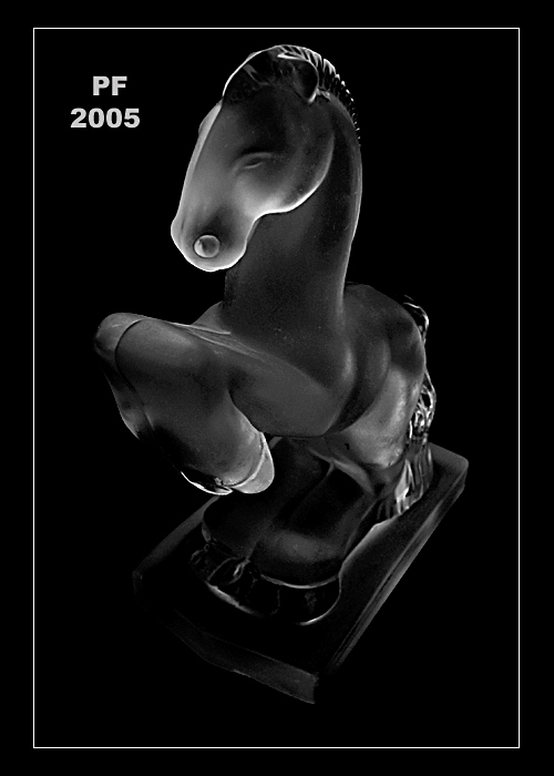  - - - PF 2005  - - -