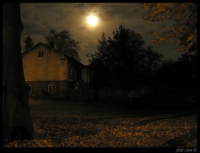 <B>- Kousek domu spoza stromů -<Br>