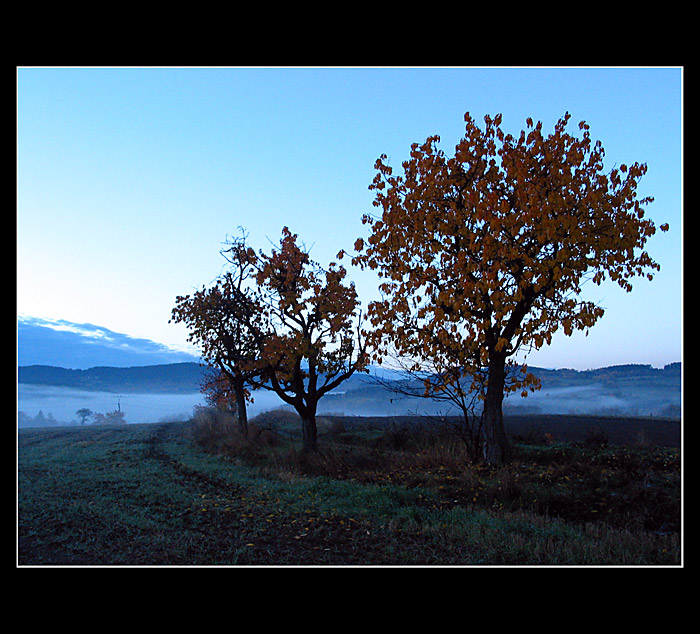 Svítání - variace