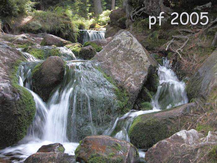 pf2005