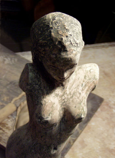 Torso
