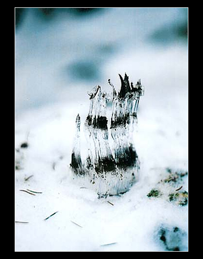 ][ Ice Age ][