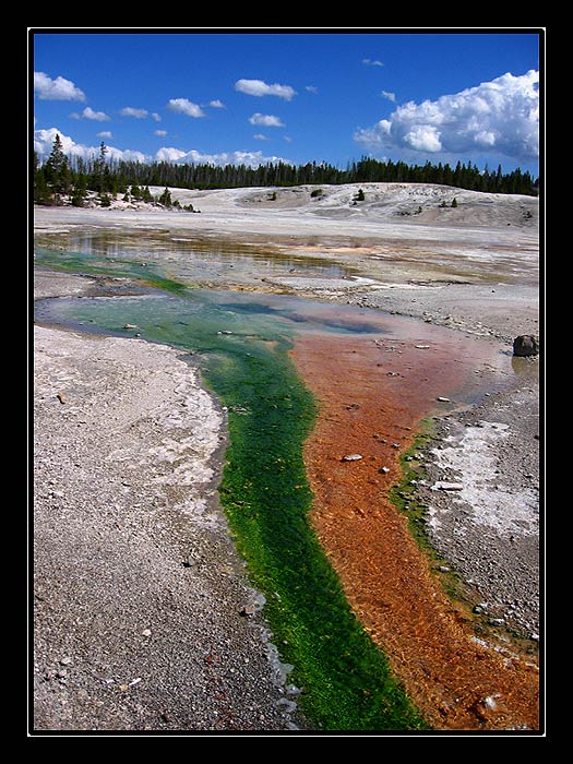 Yellowstonský národní park