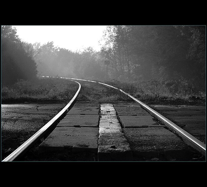 země, železo, dřevo....a asfalt .-)