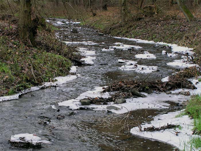 Potůček