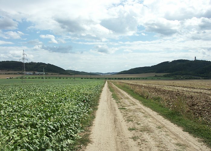 Dlouhá to cesta