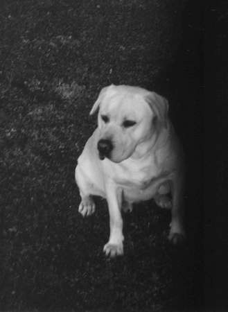 a just sa na teba nepozriem:-)