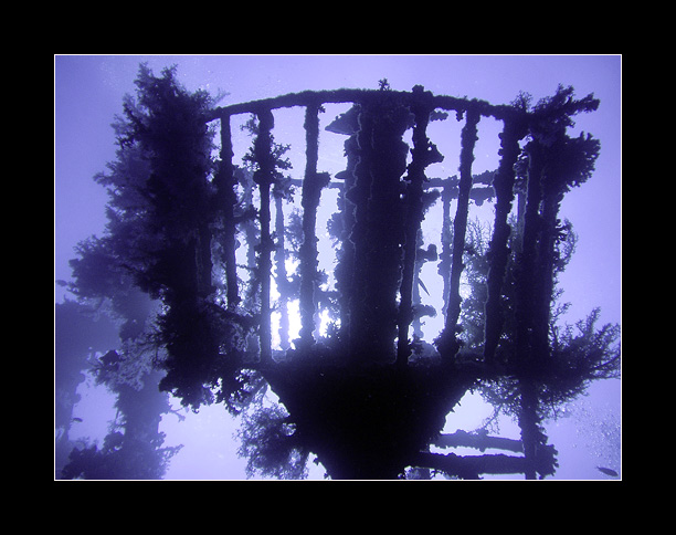 cedar pride wreck /TITANIC / JORDANSKO 2004 II.