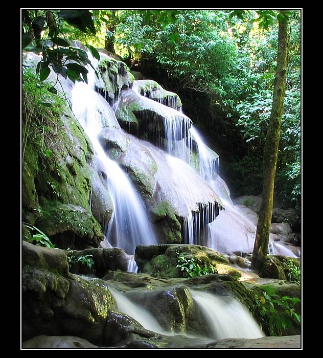 Jungle waterfall