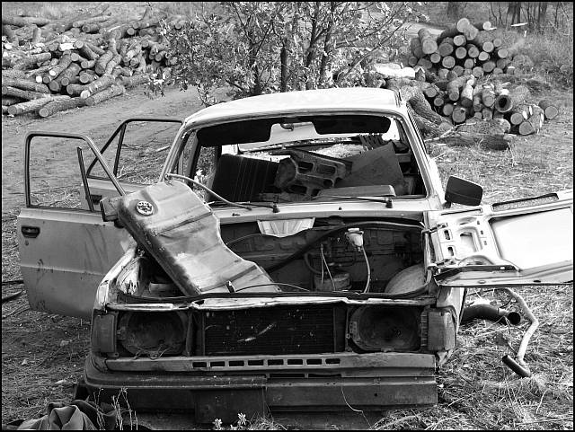 Mrtvý les a jiný bulšit.