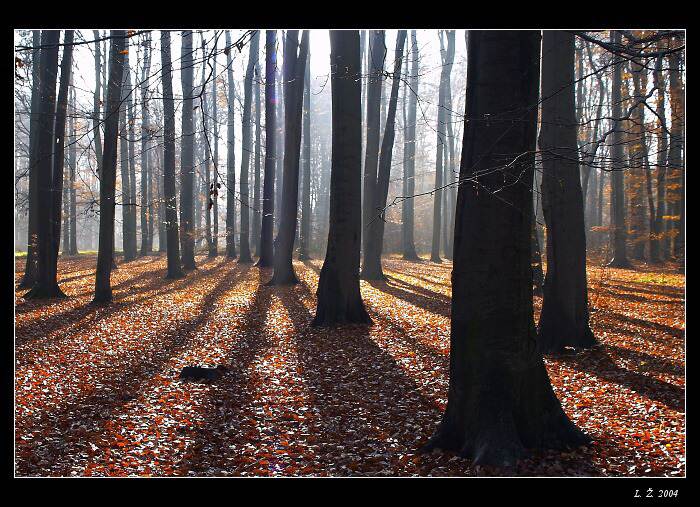 Zima se blíží....
