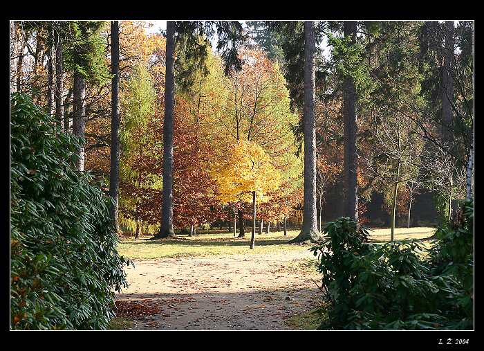 Zlato se se dá najít i v říjnu.