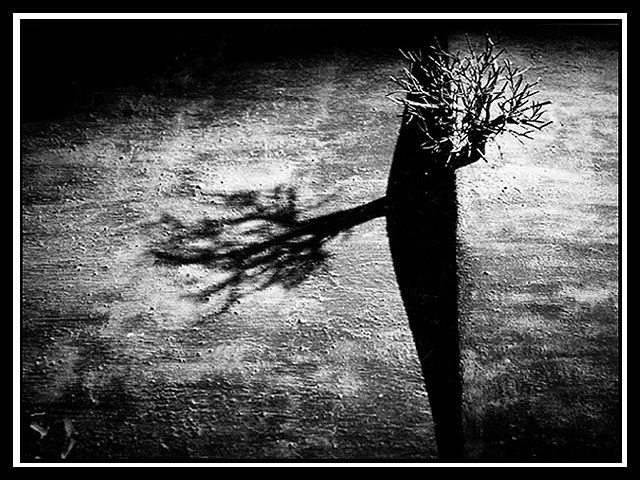 shadow