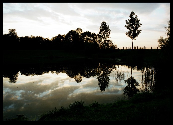 rybník ve Vojnicích