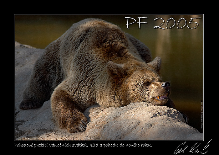 PF 2005