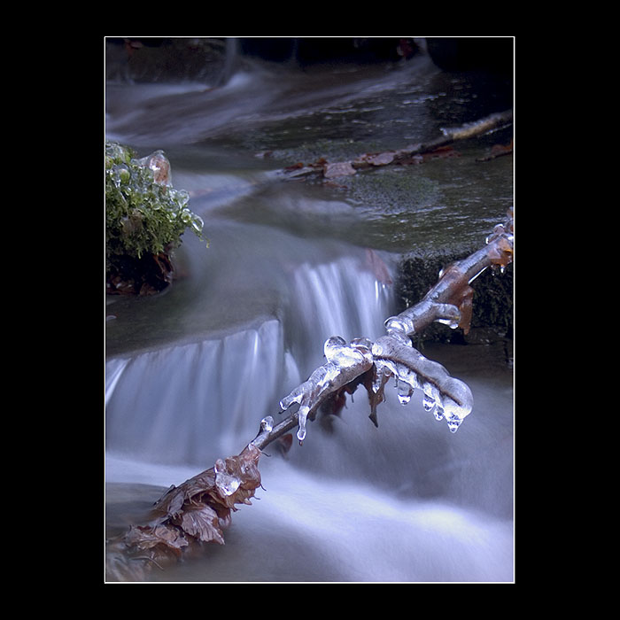 <b>...freezzzzing</b>