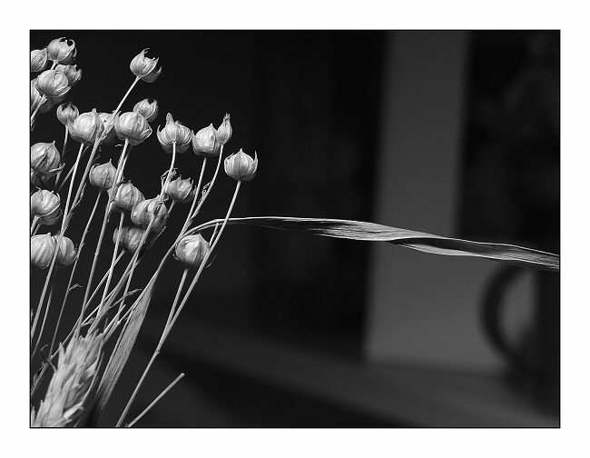 .:noname:.