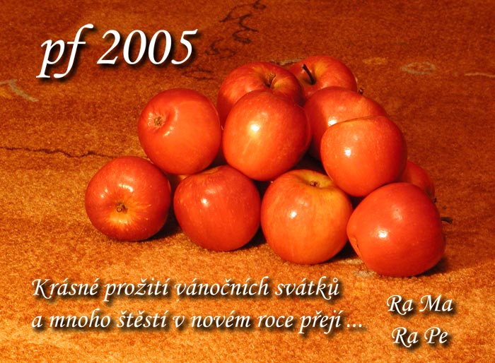 PF 2005