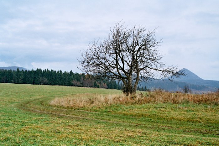 Polevský vrch