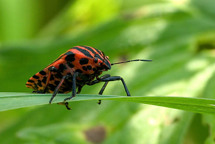 Ještě kousek a jsem tam.