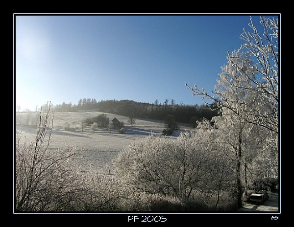 PF 2005 - N E B O D O V A T!!!