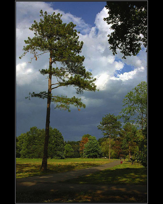 <b>LETNÍ NE-VZPOMÍNKA...<HR></b><br><b>