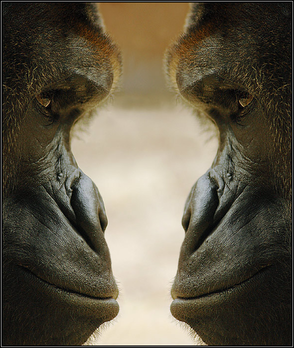 <b>PODÍVEJME SE PRAVDĚ DO OČÍ...</b><br><b>