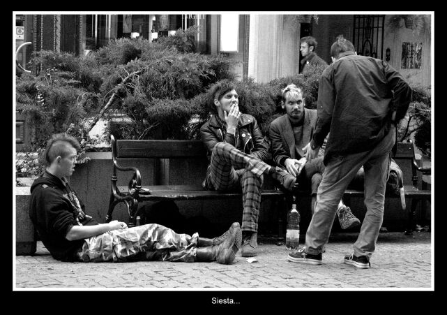 Siesta